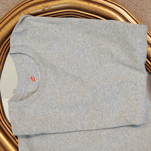 *2 for $4* NWOT Hanes Tees Size M - Picture 3 of 4